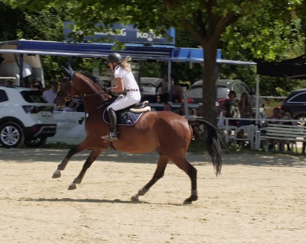 Reitturnier Heiligenwald 2024