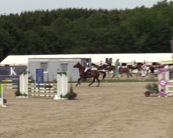 Reitturnier Weiswampach  2024