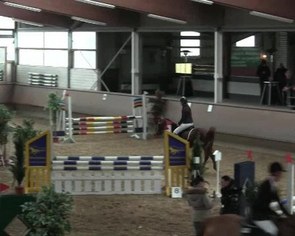 Hallen-Reit- und Springturnier 2013 beim RV Alt Marl