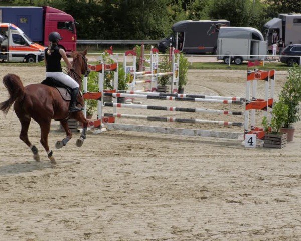 Reitturnier Heiligenwald 2024