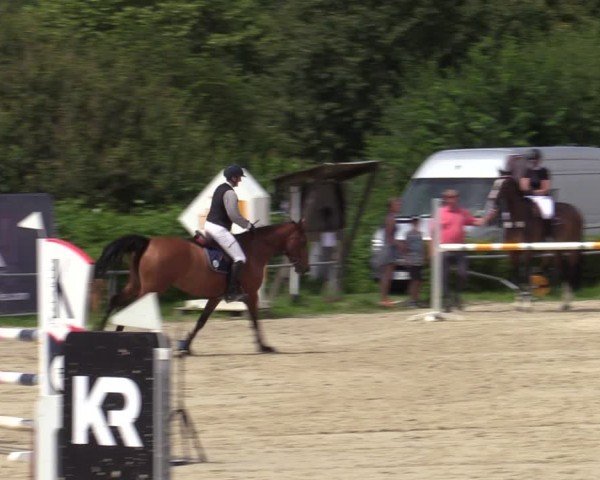 Reitturnier Weiswampach  2024
