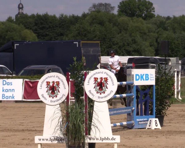 Reitturnier Neustadt/Dosse 2024