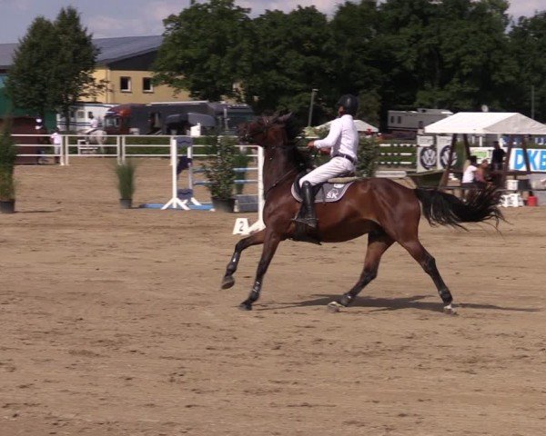 Reitturnier Neustadt/Dosse 2024