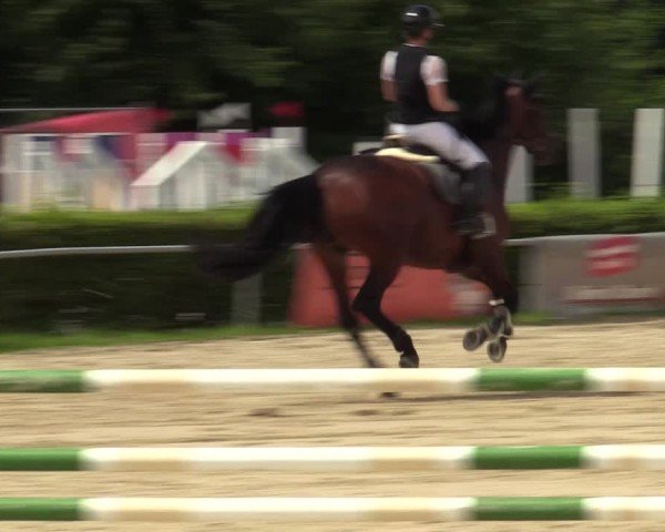 Reitturnier Weiswampach 2024
