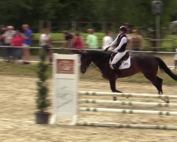 Reitturnier Herbern 2024