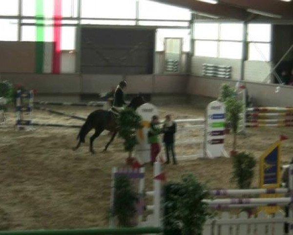 Hallen-Reit- und Springturnier 2013 beim RV Alt Marl