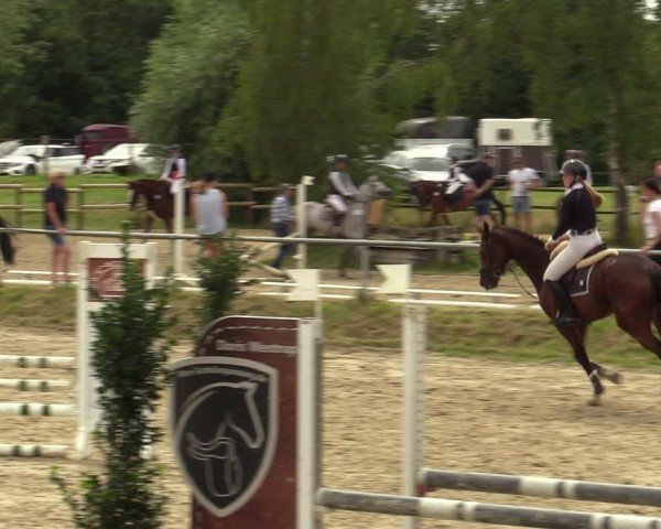 Reitturnier Herbern 2024