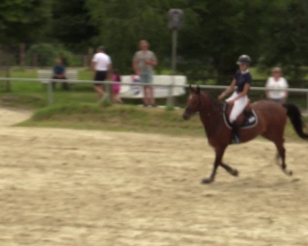 Reitturnier Herbern 2024