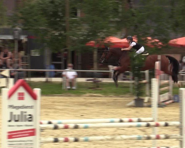 Reitturnier Herbern 2024