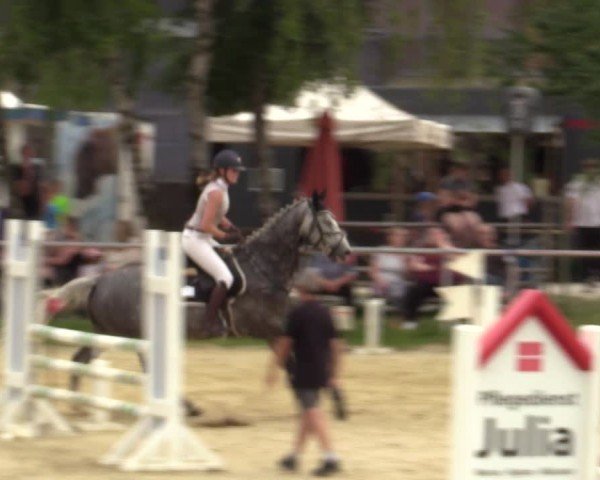 Reitturnier Herbern 2024