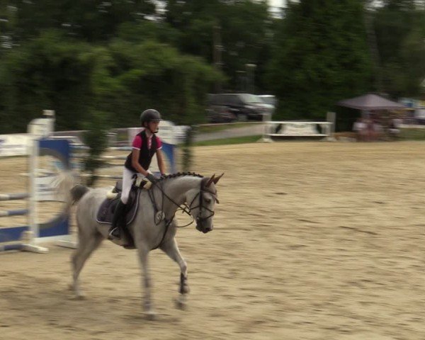 Reitturnier Herbern 2024