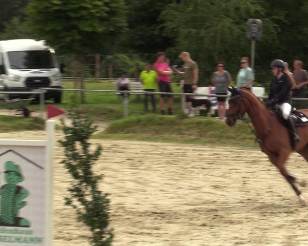 Reitturnier Herbern 2024