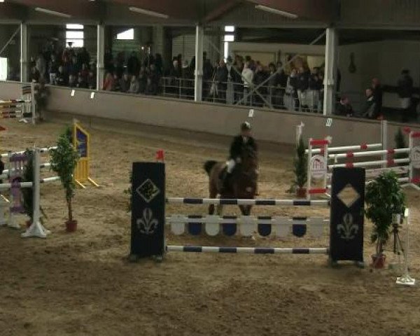 Hallen-Reit- und Springturnier 2013 beim RV Alt Marl