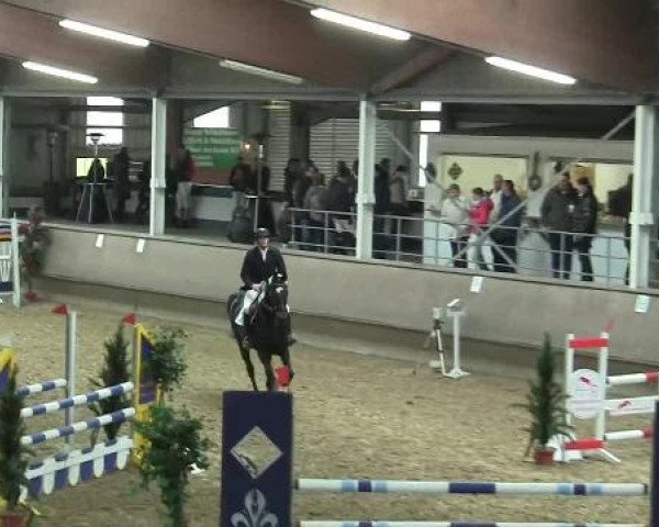 Hallen-Reit- und Springturnier 2013 beim RV Alt Marl