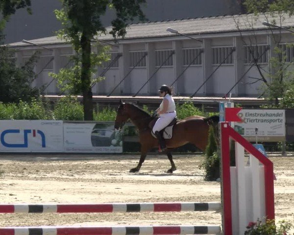 Reitturnier Dagmersellen 2024