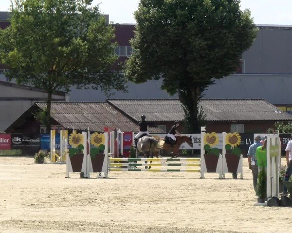 Reitturnier Dagmersellen 2024
