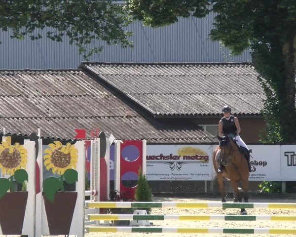Reitturnier Dagmersellen 2024