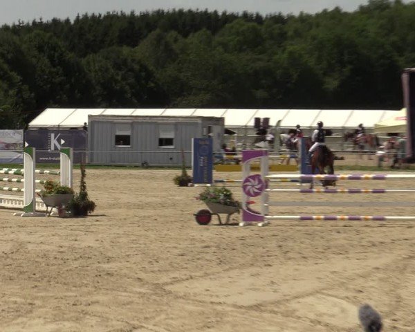 Reitturnier Weiswampach  2024