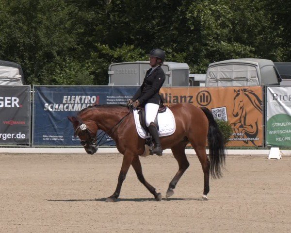 Reitturnier Heiligenwald 2024