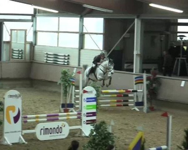 Hallen-Reit- und Springturnier 2013 beim RV Alt Marl