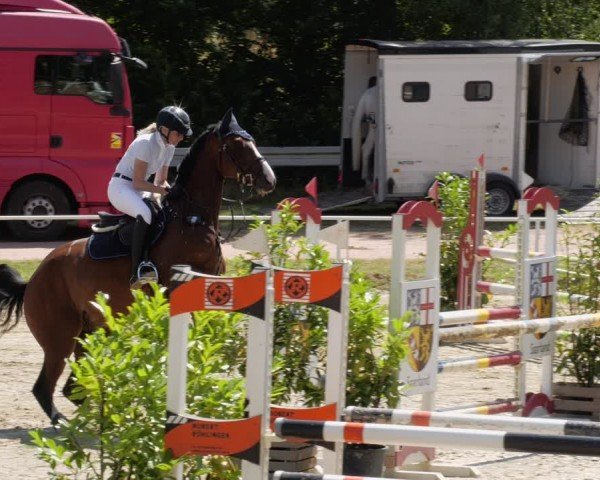 Reitturnier Heiligenwald 2024