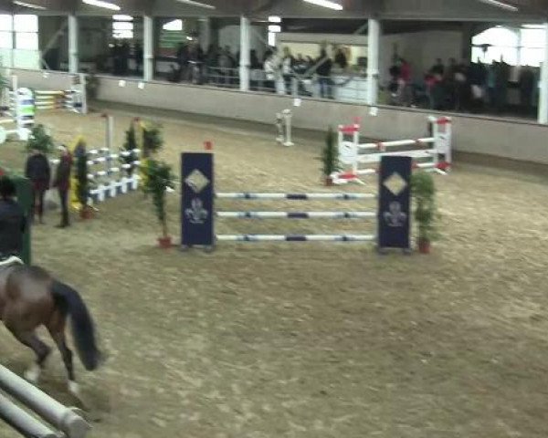 Hallen-Reit- und Springturnier 2013 beim RV Alt Marl