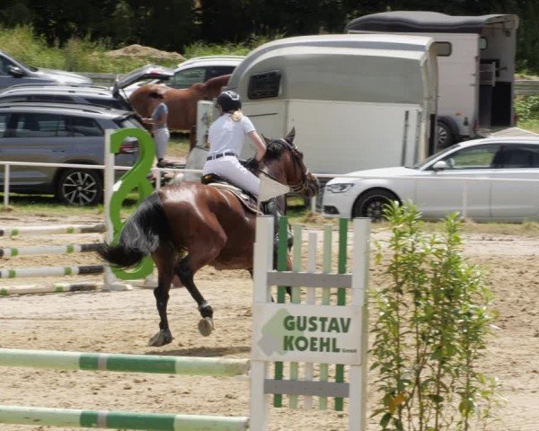 Reitturnier Heiligenwald 2024