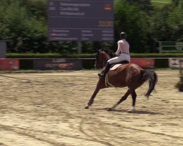 Reitturnier Weiswampach  2024