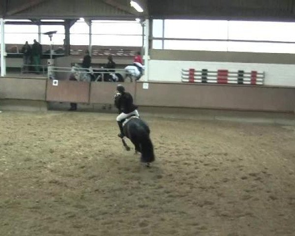 Hallen-Reit- und Springturnier 2013 beim RV Alt Marl
