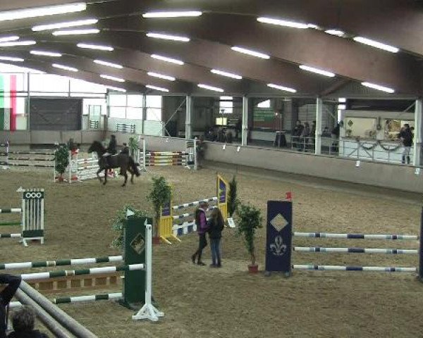 Hallen-Reit- und Springturnier 2013 beim RV Alt Marl