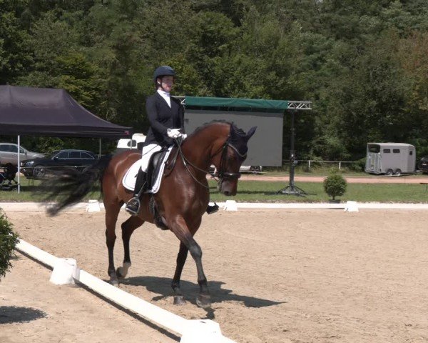 Reitturnier Heiligenwald 2024