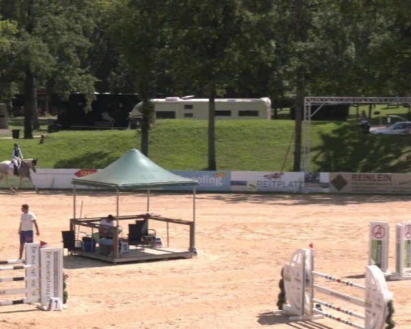 Reitturnier Stadl-Paura 2024