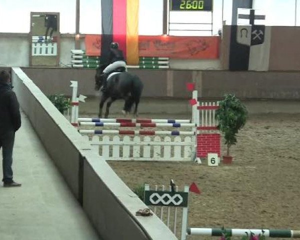 Hallen-Reit- und Springturnier 2013 beim RV Alt Marl