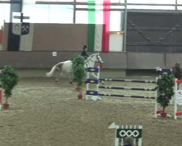 Hallen-Reit- und Springturnier 2013 beim RV Alt Marl