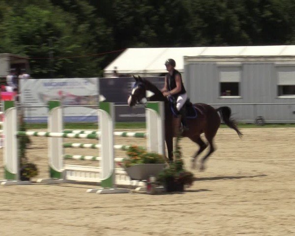 Reitturnier Weiswampach  2024