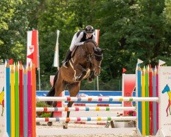 jumper Illusion T (German Sport Horse, 2018, from I'm Special de Muze)