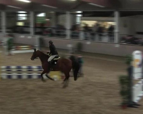 Hallen-Reit- und Springturnier 2013 beim RV Alt Marl