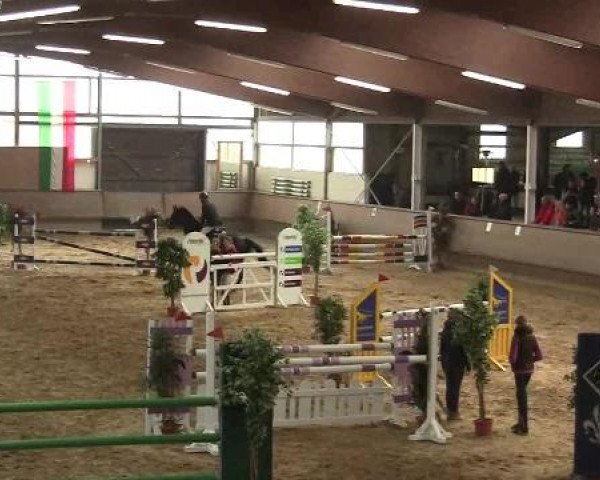 Hallen-Reit- und Springturnier 2013 beim RV Alt Marl