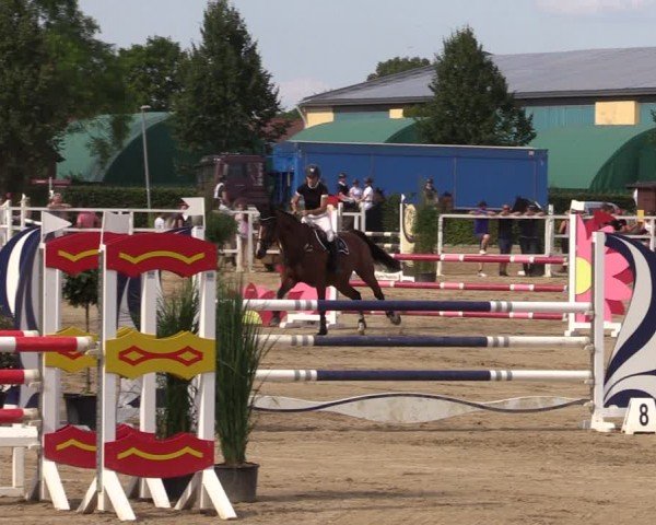 Reitturnier Neustadt/Dosse 2024