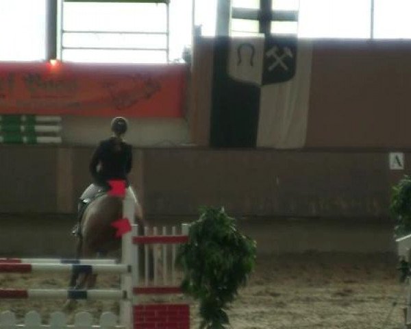Hallen-Reit- und Springturnier 2013 beim RV Alt Marl