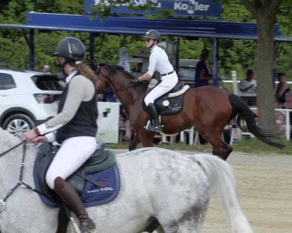 Reitturnier Heiligenwald 2024