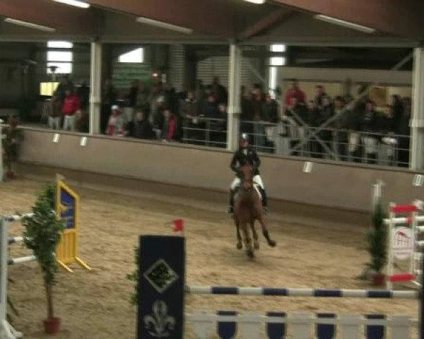 Hallen-Reit- und Springturnier 2013 beim RV Alt Marl