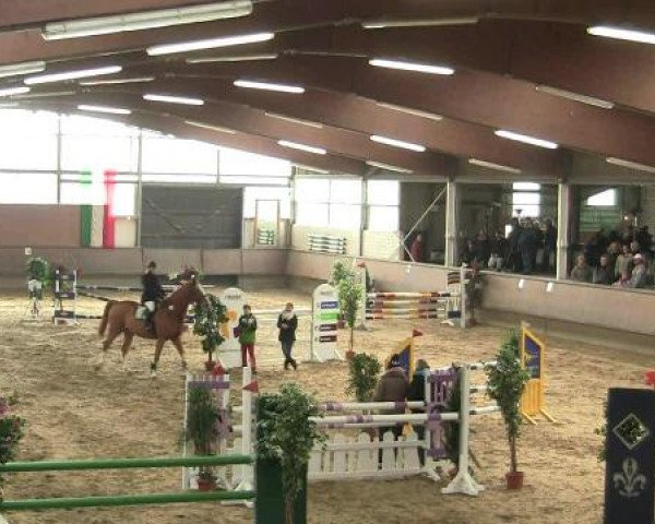 Hallen-Reit- und Springturnier 2013 beim RV Alt Marl