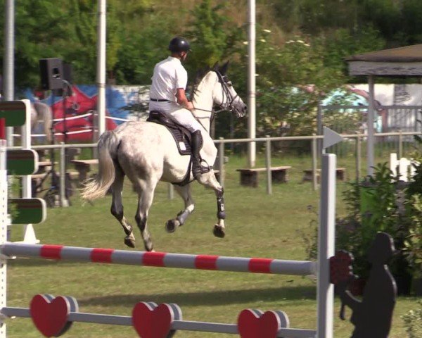 Reitturnier Gardelegen 2024