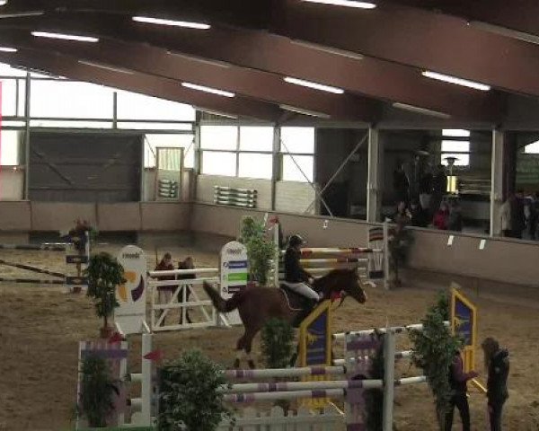 Hallen-Reit- und Springturnier 2013 beim RV Alt Marl