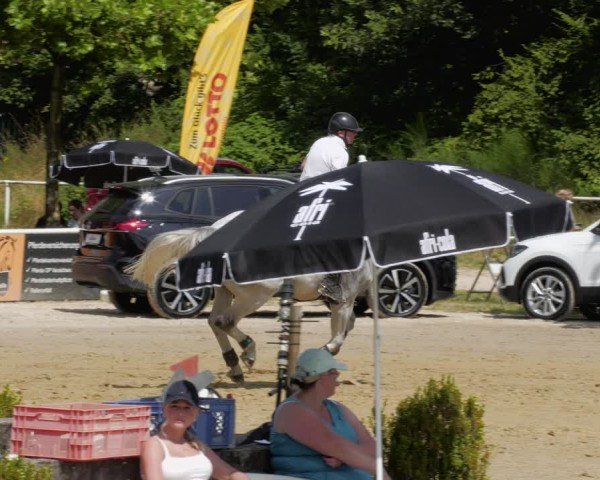 Reitturnier Heiligenwald 2024