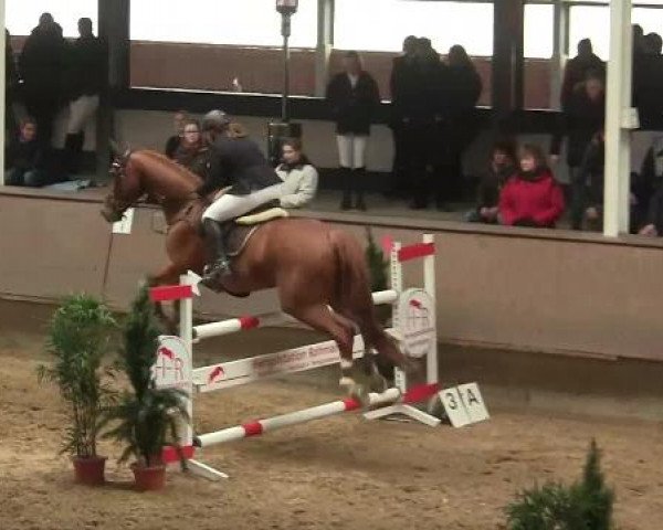 Hallen-Reit- und Springturnier 2013 beim RV Alt Marl