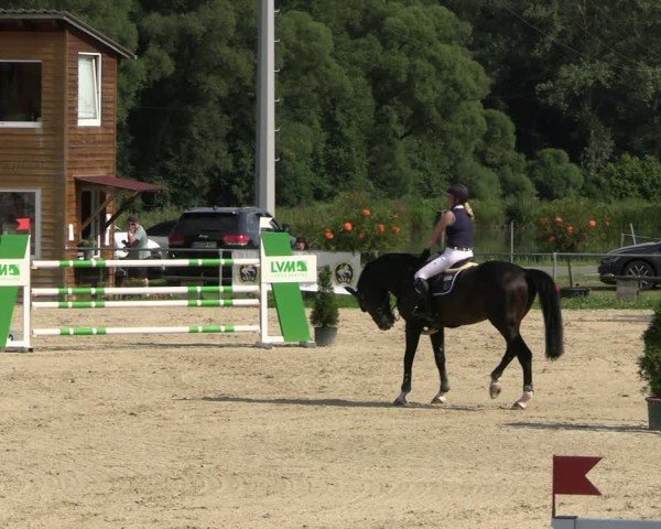 Reitturnier Bad Liebenstein/Sorga 2024