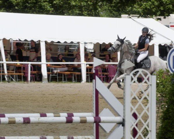 Reitturnier Heiligenwald 2024