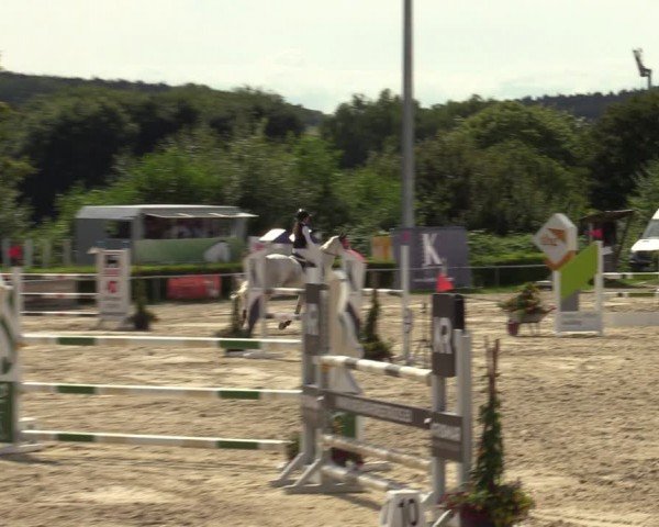 Reitturnier Weiswampach  2024